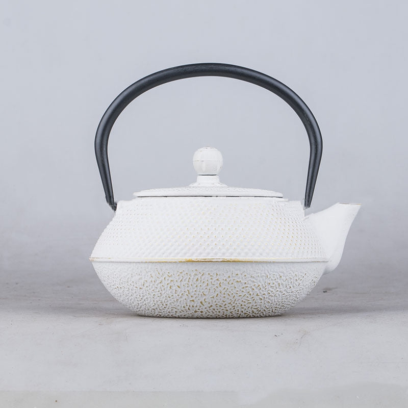 Cast Iron Teapot and Electric Pottery Set (Gift Set)